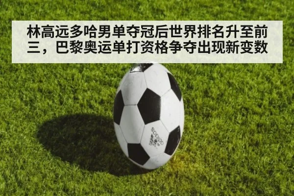 林高远多哈男单夺冠后世界排名升至前三，巴黎奥运单打资格争夺出现新变数 | KAIYUN SPORTS