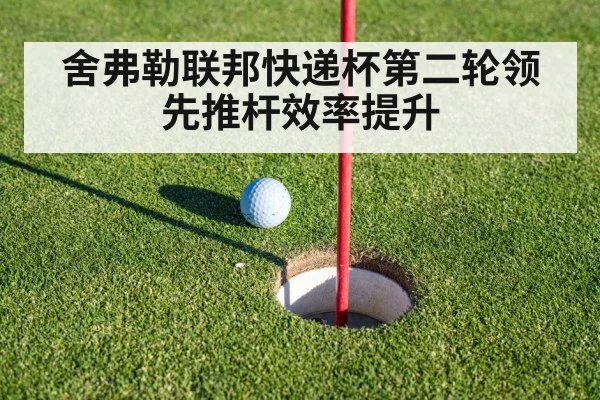 舍弗勒联邦快递杯第二轮领先推杆效率提升
