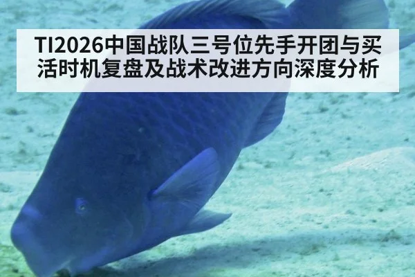 TI2026中国战队三号位先手开团与买活时机复盘及战术改进方向深度分析 | KAIYUN SPORTS